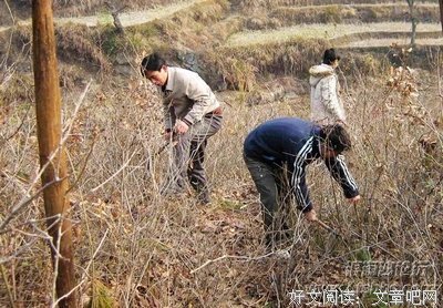 笔墨童年