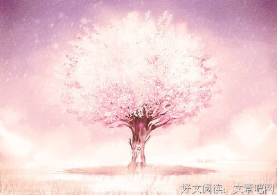 你是别人的一棵树