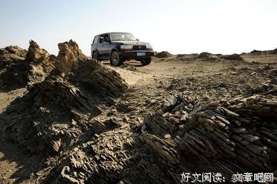 向湖心扔一颗石子