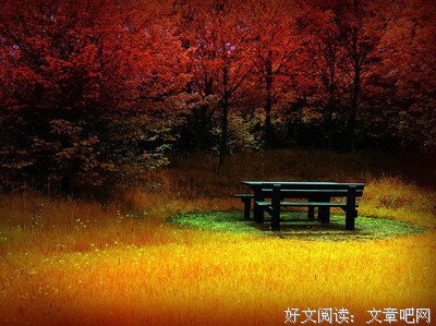 犹太人为什么聪明