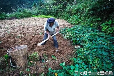 牛爹的村庄