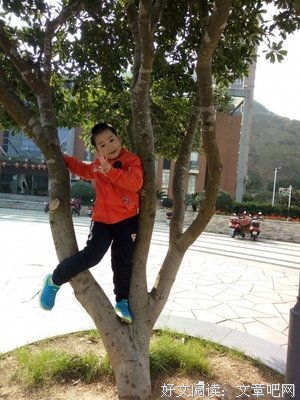 晚上陪父亲说话