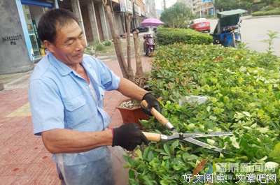 那个为我照料花草的人