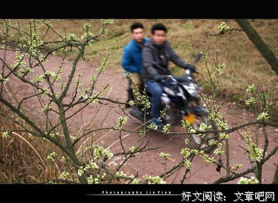  闻到春天
