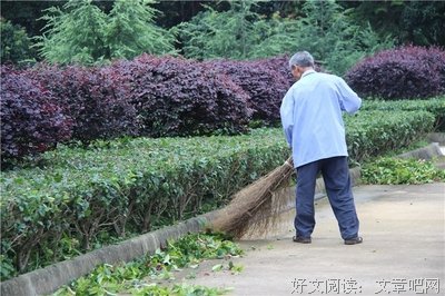 桂花残