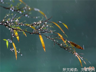 岳霖先生