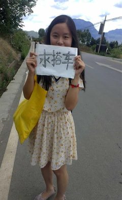 万物都是伙伴