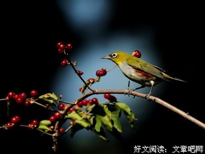 偶然与命运