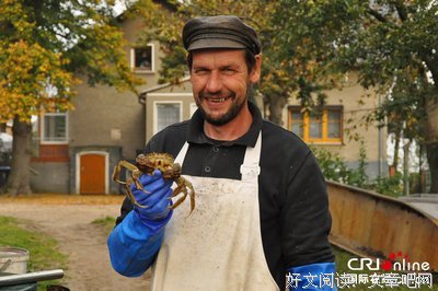 德国大闸蟹与哈佛作弊
