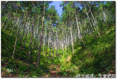 门外青山