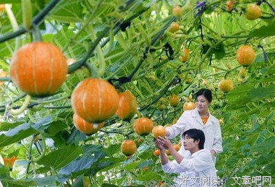 商鞅的攻心计