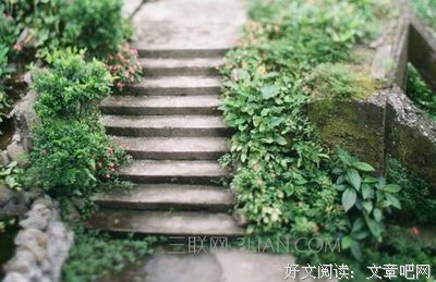 年轻时吃过的苦，都会成为你未来的路