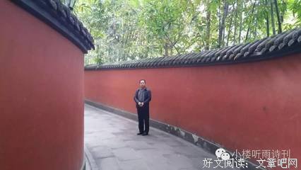 养群麻雀做芳邻