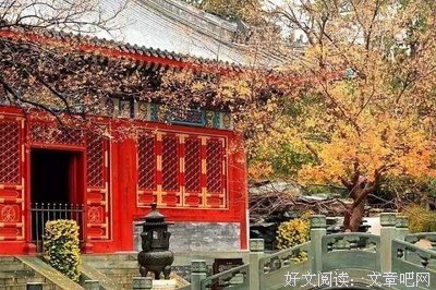 谚语的下半句