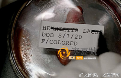 永生的海拉