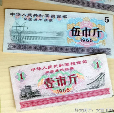 我与“粮票”的故事