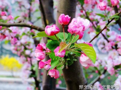 别吝啬开口