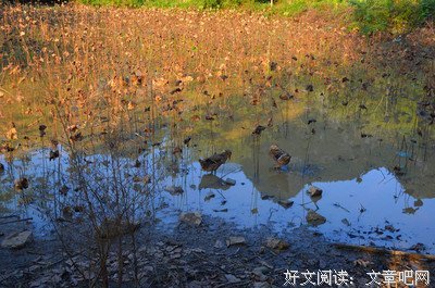 最动人的遗忘