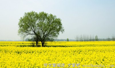 春游