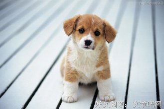 风衣少年