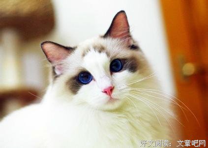 谨记那些岁月