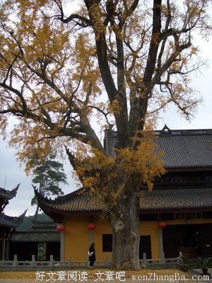 小诗一组