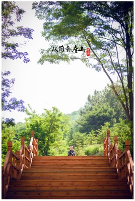 从前有座山