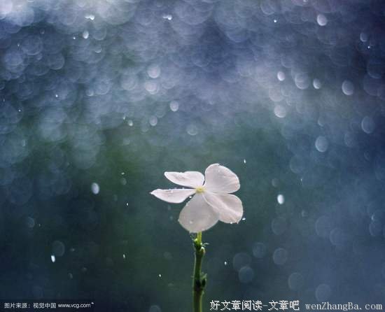 《雨》
