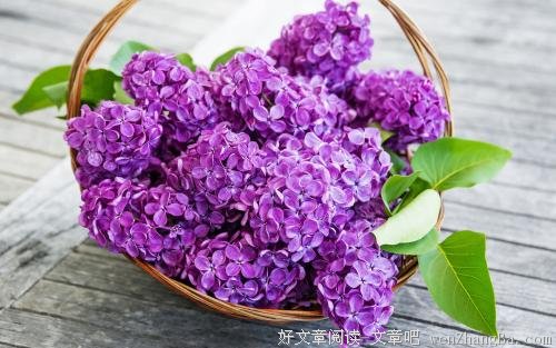 《未来的世界：有我一路陪伴》