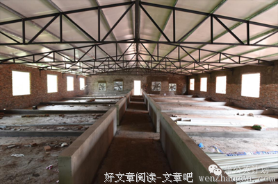 岭南师范学院教科院“蒲公英”社会实践队三下乡心得（27）