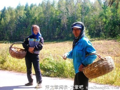 采蘑菇