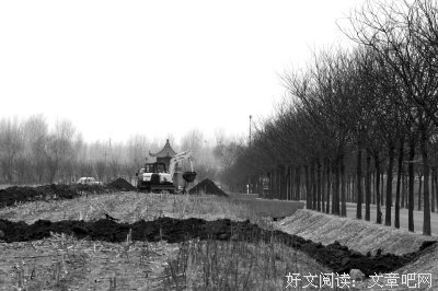 拔苗种不出好“庄稼”