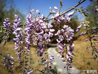  无心把酒梦黄梁，一枕南柯落花香，天地入斜阳