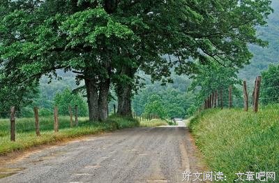  没有谁活得比谁容易