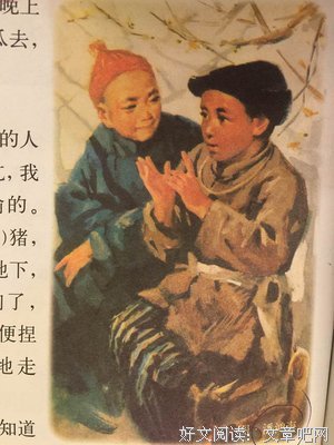  少年不懂鲁迅，如今才知道，我们都是闰土