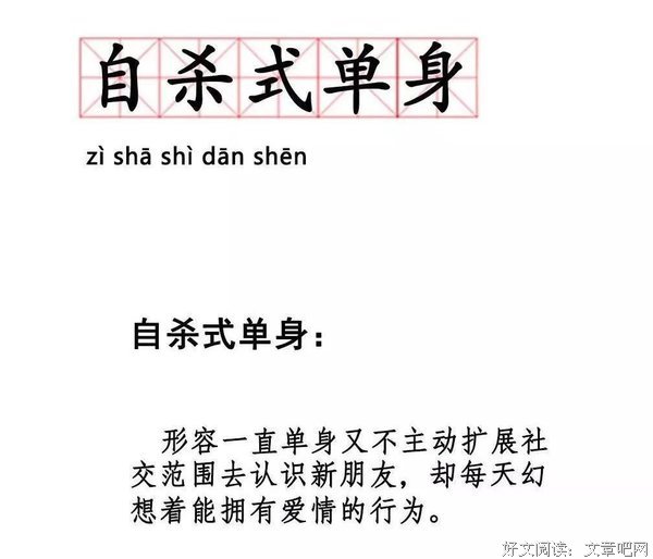  你也正在「自杀式单身」吗？