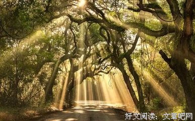  比搞好关系更重要的是，搞好人际“弱”关系