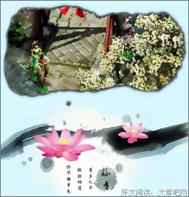  当资本、爱情与繁衍狭路相逢
