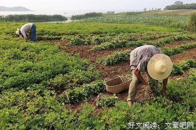  为什么能力比你差的人，挣得却比你多？