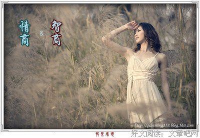  情商和努力，哪个更重要？