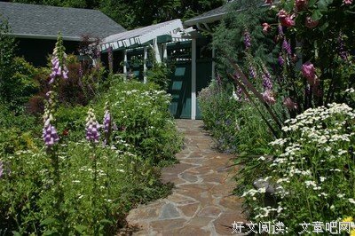  婚姻成于理解，败于不被理解