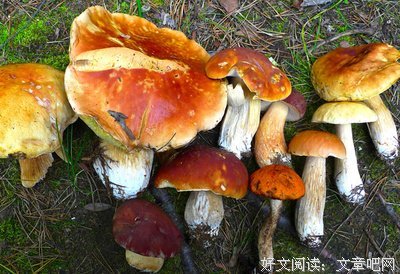 一代又一代中国人在饭桌上沉沦