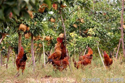 展现魅力激活传统文化