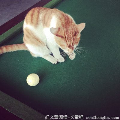 越炫耀离你想要的越远
