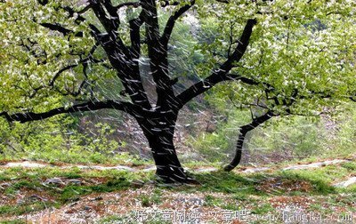 宋朝的雨