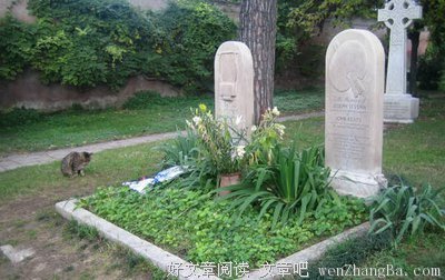 写在水上的字