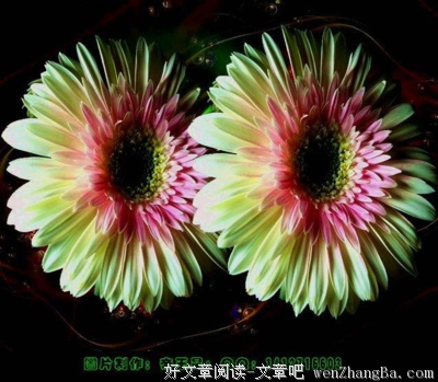 衣茧而行