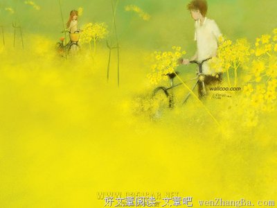写给瓷的一封信