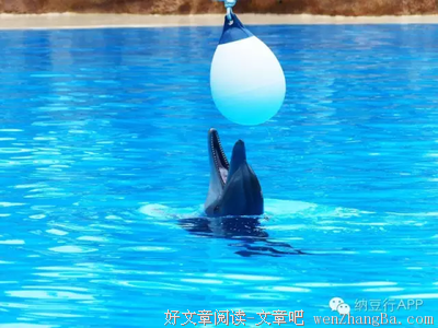 如果你离开，请温柔一点