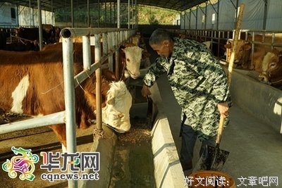 借钱还钱